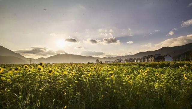 九月，放空自己，走进麟游，将美景一网打尽……