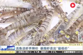活鱼活虾齐降价 基围虾卖出“最低价”视频封面