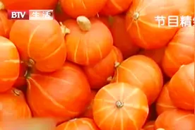 南瓜种类繁多，区分各种南瓜都有哪些小窍门？视频封面