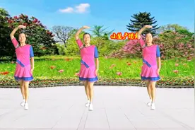 初级入门舞16步《花蝴蝶》经典老歌新跳，时尚活泼又可爱附分解