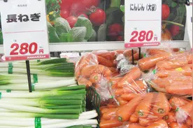 日本人眼中的100万日元，相当于中国人眼中的多少钱？视频封面