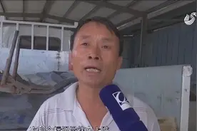 运输废旧电瓶在阳谷被查罚一万元 整改后又被查 司机大哥都吃不消视频封面