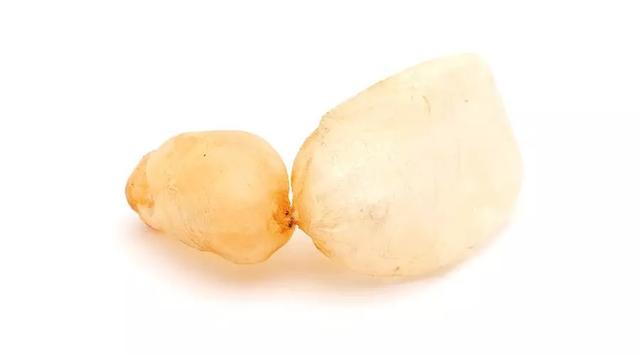 草鱼的鱼泡能叫花胶吗 2026年草鱼的鱼泡同花胶有什么分别