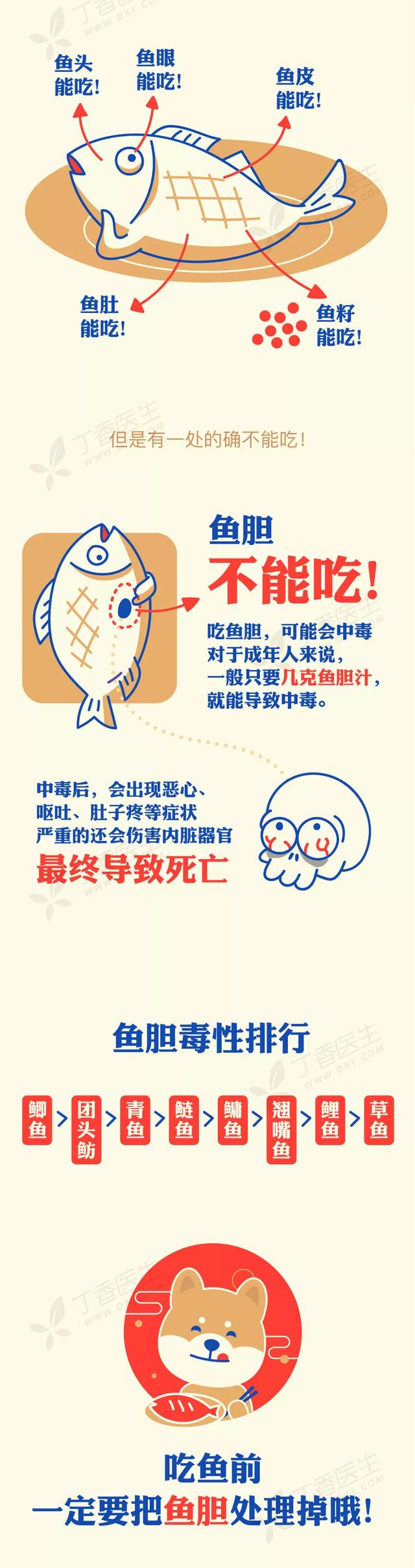 花胶能吃下去吗 花胶能吃下去吗有营养吗