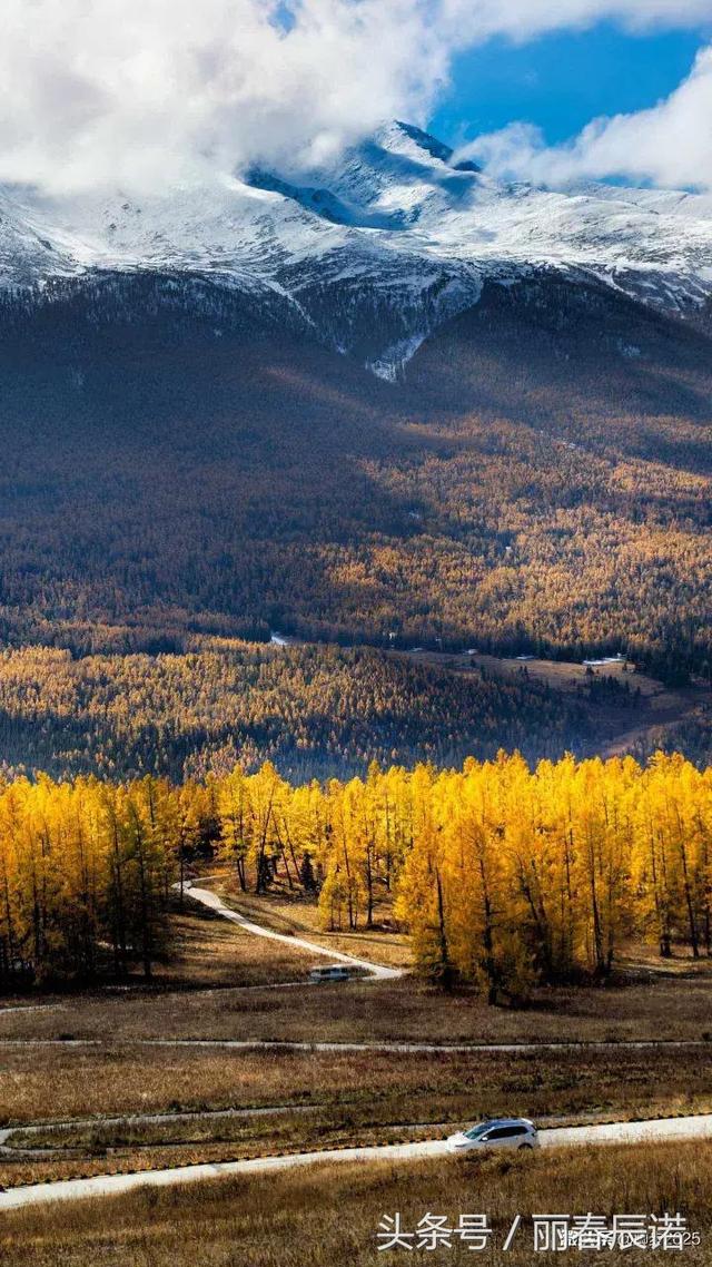 ��ͷ˳����ح������ø��