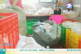 实拍拼多多热卖纸尿裤黑工厂：废品垃圾货回收再包装视频封面