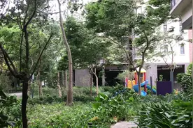 佛山五区实拍，8时左右顺德陈村录得全市最高9级风