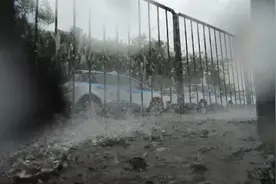 深圳全市充电桩目前停用！停车场外近百辆出租车成“车河”待充电