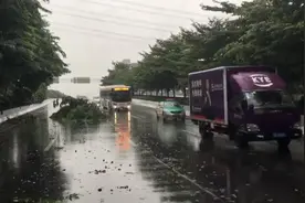 广州市区多处树枝折断阻碍道路通行，部分居民筑“城墙”封堵潮水视频封面