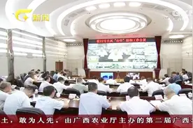 台风“山竹”防御工作会 陈武强调落实措施 确保人民群众生命安全视频封面