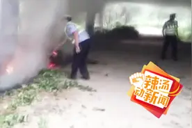 高速突现“团雾”险情 竟是焚烧树叶产生的浓烟所致视频封面