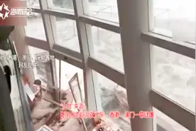 “山竹”17时在广东台山登陆，中心附近最大风力14级影响严重