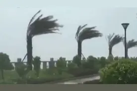 记者直击台风“山竹” 广东惠州发生树木倒伏、海水倒灌