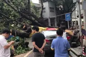 “山竹”过后的广州视频封面