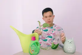 矿泉水瓶子养绿萝，养花就靠DIY，办法操作很简单，省钱小技巧！视频封面
