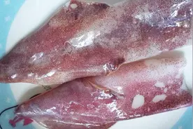 鱿鱼上动个小手脚，快速撕下鱿鱼皮不费力，快学起来吧！视频封面