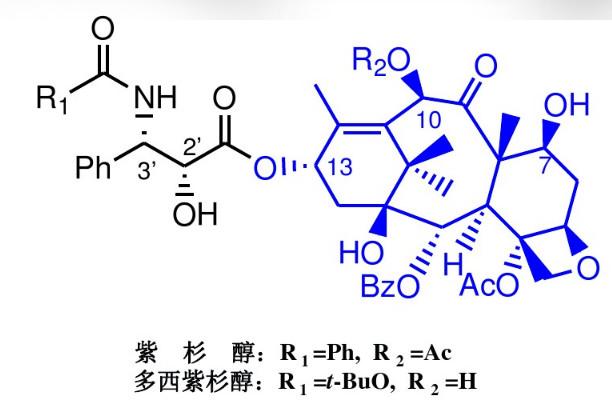新鲜！化学也分左右手？