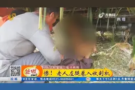 收割机也“吃人”！高青一老人左腿卷入收割机 消防队员将其救出视频封面