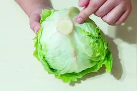 圆生菜去根清洗的妙招，简单方便又干净，赶快学一学