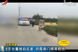 江苏沛县：6岁女童独自在家 邻居串门将其砍伤视频封面