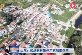 山东：试点农村集体产权制度改革视频封面