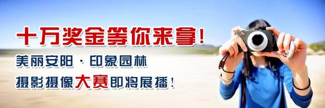我市举报电话公布！全省开展打击假牌套牌假证违法行为专项行动！