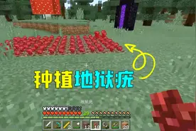 我的世界生存37：种植地狱疣，下一步就要以酿造药水了视频封面