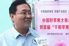 中国农业科学院研究员：千阳苹果酥！脆！甜！视频封面