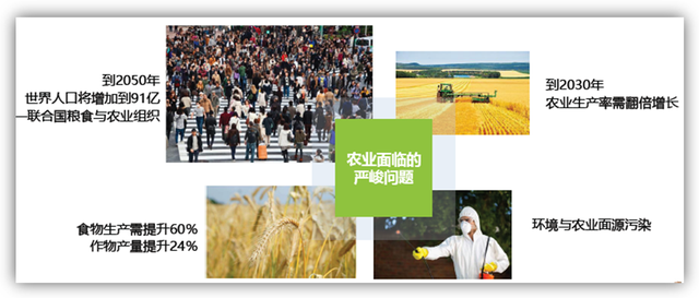 氨基酸类生物刺激素极具市场潜力 发展还需扫除认识盲点