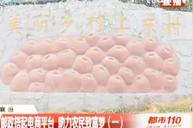 邮政搭起电商平台 助力农民致富梦视频封面