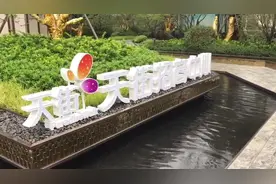 南京龙湖一楼盘擅提首付至8成，已叫停视频封面