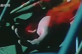 男子死不瞑目，被猫踩过后，竟然发生了尸变视频封面