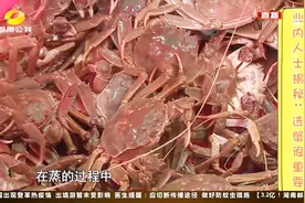 小知识！活蟹蒸完变“僵尸蟹”业内人士解密：选蟹很重要视频封面