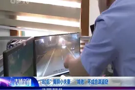 “80后”无业小夫妻 离异后继续同居 “啃老”不成竟合伙偷电瓶车视频封面