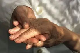 定了！河北这些老人免费乘公交！河北省老年人权益保障条例刚刚公布！图片