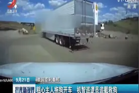 美国亚利桑那：粗心主人拖狗开车 机智巡逻员追截救狗视频封面