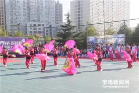 宝鸡第25届木兰拳大赛 500余名大妈大爷展功夫图片