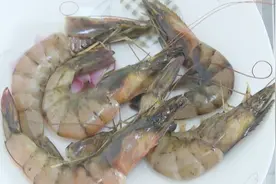 鲜活大虾放冰箱一夜居然变黑 专家释疑活虾变黑是否还能吃视频封面