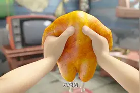 熊出没：光头强饿晕把肥波看成鸡肉，又香又嫩一口咬下去视频封面