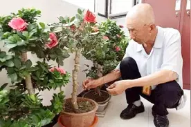 茶叶水可以用来浇花，但是好多人都做错了，教你正确的浇花方法视频封面