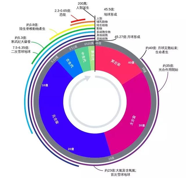 解密“标准遗传密码”：为什么是这20种氨基酸构成生命？