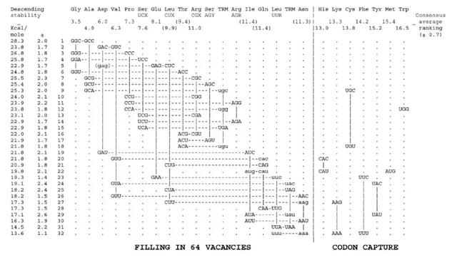 瑙ｅ瘑鈥滄爣鍑嗛仐浼犲瘑鐮佲€濓細涓轰粈涔堟槸杩?0绉嶆皑鍩洪吀鏋勬垚鐢熷懡锛? onerror=