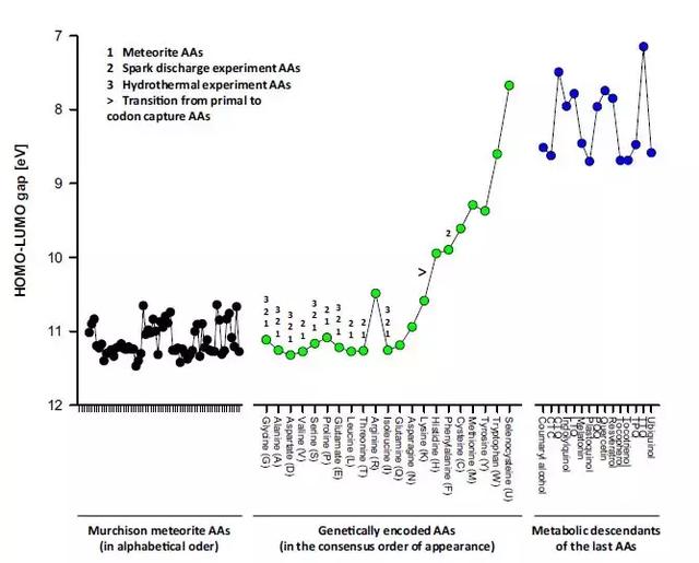 瑙ｅ瘑鈥滄爣鍑嗛仐浼犲瘑鐮佲€濓細涓轰粈涔堟槸杩?0绉嶆皑鍩洪吀鏋勬垚鐢熷懡锛? onerror=
