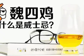 动画解说：一分钟了解什么是威士忌？whisky or whiskey视频封面