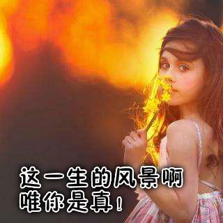 最美的爱情诗句大全，总有一句会