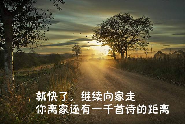 最美的爱情诗句大全，总有一句会