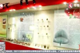 中国农民丰收节 云南昆明：实地探访亚洲最大野生生物种质资源库视频封面