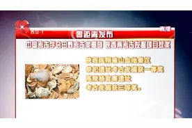 凤翔雍山血池秦汉祭祀遗址再添殊荣 获田野考古奖一等奖视频封面