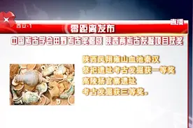 凤翔雍山血池秦汉祭祀遗址再添殊荣 获田野考古奖一等奖视频封面