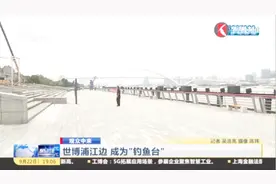 上海黄浦江东岸步道明确禁止垂钓 垂钓爱好者却对此无动于衷视频封面